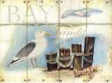 Bay Gull Posters by Mary Escobedo