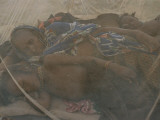A Niger Family of Cattle Herders Sleep under Mosquito Netting Photographie par Karen Kasmauski