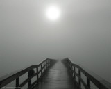Into the Fog I Prints by Gary Bydlo