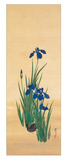 Mai Reproduction procédé giclée par Sakai Hoitsu