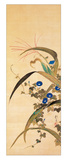 Juli Giclée-Druck von Sakai Hoitsu