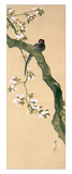 März Giclée-Druck von Sakai Hoitsu