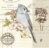 Bird Sketch IV Posters av Chad Barrett Bird Sketch IV Posters av Chad Barrett