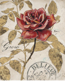 Ruby Collection VII Prints by Chad Barrett