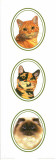 Decorative Panels Cats I Poster
