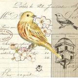 Bird Sketch II Pósters por Chad Barrett