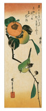 A Japanese White-Eye on a Persimmon Branch Giclée-Druck von Ando Hiroshige