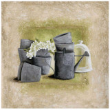 Fleurs Blanches et Arrosoir Prints by Véronique Didier-Laurent