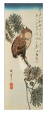 A Little Brown Owl on a Pine Branch with a Crescent Moon Behind Reproduction procédé giclée par Ando Hiroshige