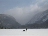 A Cross-Country Skier and His Dog Cross Frozen Lake Colden Photographie par Maria Stenzel