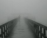 Into the Fog II Poster by Gary Bydlo