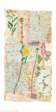 Loving Memories III Prints by A. Dapino