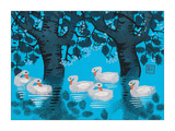 Six Swimming Swans Giclee Print