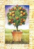 Fruti Mediterranei II Poster by Gina De Francesco