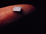Extreme Close-Up of a Microchip on a Fingertip Photographic Print by Bruce Dale