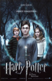 Harry Potter and The Deathly Hallows Part 1 Masterdruck