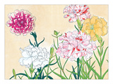 Flower Study I Giclee Print