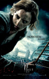 Harry Potter and The Deathly Hallows Part 1 - Hermoine Lámina maestra