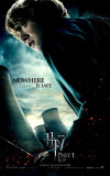 Harry Potter and The Deathly Hallows Part 1 - Ron Masterprint