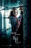 Harry Potter and The Deathly Hallows Part 1 - Ron and Hermoine Masterprint Harry Potter and The Deathly Hallows Part 1 - Ron and Hermoine Masterprint