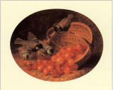 Red Currants and Cherries Posters by Eloise Stannard