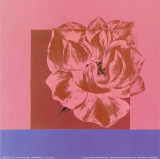 Fragrance II Prints by Alie Van de Velde