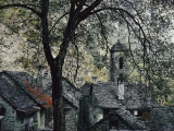 Spreading Chestnut Tree Appears to Drape over Hand-Hewn Granite Roofs Photographic Print by Thomas J. Abercrombie