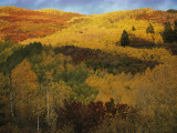 Autumn Colors Cover a Rocky Mountain Hillside Photographic Print by Dick Durrance II