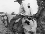 Nicaraguans Braid and Tie Horses' Tails to Keep Them Out of the Mud Photographic Print by Luis Marden
