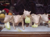 A Restaurant Displays its Specialty, Roast Suckling Pig Photographie par O. Louis Mazzatenta