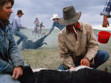 Cowboys on a Cattle Ranch Fotografisk trykk av Sam Abell Cowboys on a Cattle Ranch Fotografisk trykk av Sam Abell