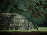 A Spider-Monkey Named Pancho, a Resident of Copan, Strolls Past a Small Pyramid Photographie par Kenneth Garrett