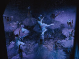 The Joffrey Ballet Dances the Nutcracker at the Kennedy Center Fotografisk trykk av Sisse Brinberg