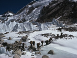 Mountain Climbers on the 1963 Ngs Expedition to Ascend Mount Everest Photographie par Barry Bishop