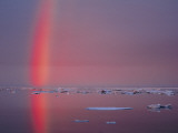 A Beautiful Rainbow Rises from its Reflection on the Icy Arctic Ocean Photographie par Paul Nicklen