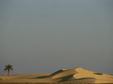 Scenic Landscape of the Bahariya Oasis in Egypt with Dunes and Palm Photographie par Kenneth Garrett