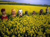 Masked Young People in a Mustard Field En Route to a Summer Festival Photographie par Tino Soriano