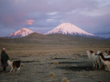Aymara Woman and Llama Herd on the Desolate Landscape of High Desert Photographie par Joel Sartore