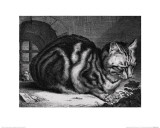 The Large Cat Giclée-Druck von Cornelis Visscher