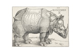 Albrecht Dürer - The Rhinoceros Digitálně vytištěná reprodukce