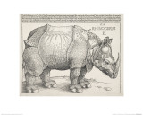 The Rhinoceros Reproduction procédé giclée par Albrecht Dürer