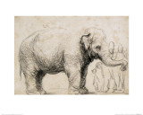 An Elephant Giclée-Druck von Rembrandt van Rijn