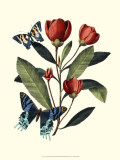 Midsummer Floral II Póster