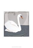 Avian February Posters by Megan Meagher