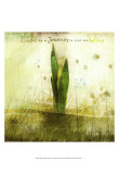 Blossoming Inspiration V Affiches