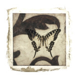 Embellished Scroll Nine Patch VI Plakater af Jennifer Goldberger