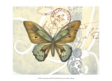 Small Postcard Song III Prints by Jennifer Goldberger