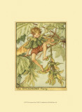 The Sycamore Fairy Posters by Vision Studio 