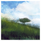 Bright Field IV Lámina por Ingrid Blixt
