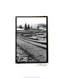 Palace of Versailles Garden II Lámina giclée por Laura Denardo Palace of Versailles Garden II Lámina giclée por Laura Denardo